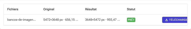 Cliquez sur Pivoter et téléchargez